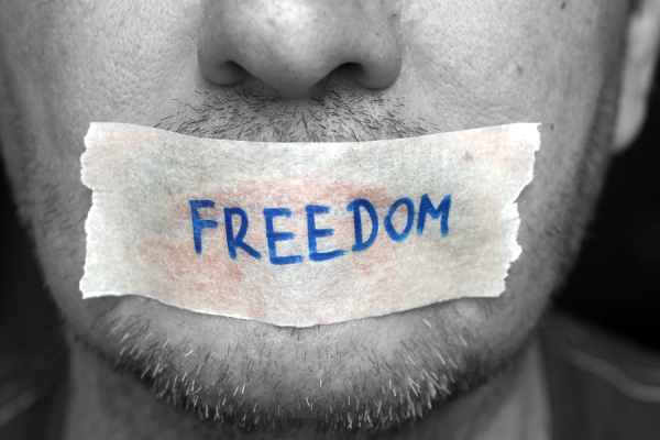 Politicians face to face with freedom of expression in the light of Article 10 of the ECHR